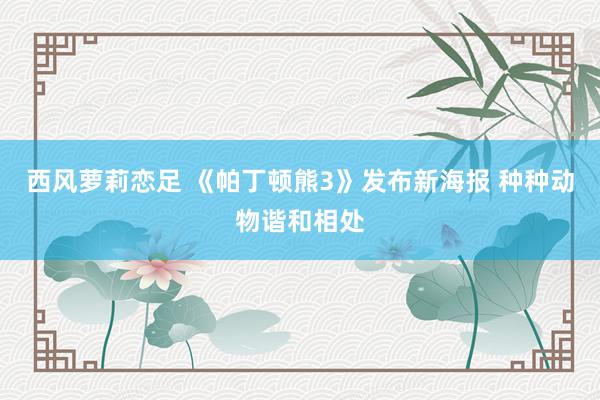 西风萝莉恋足 《帕丁顿熊3》发布新海报 种种动物谐和相处