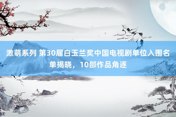 激萌系列 第30届白玉兰奖中国电视剧单位入围名单揭晓，10部作品角逐