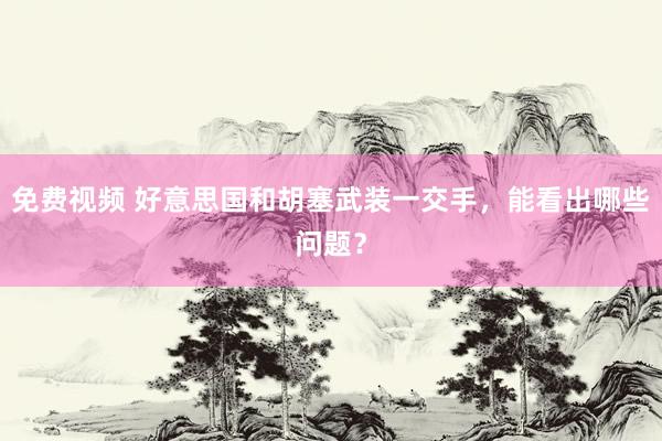 免费视频 好意思国和胡塞武装一交手，能看出哪些问题？