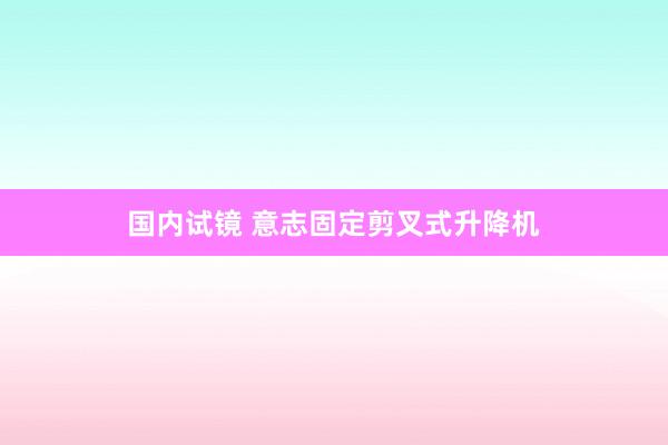 国内试镜 意志固定剪叉式升降机