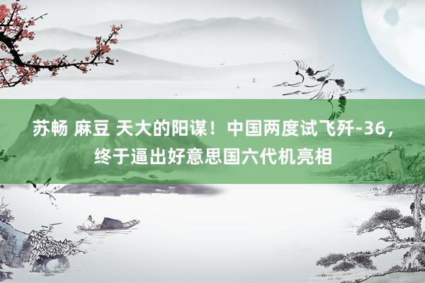 苏畅 麻豆 天大的阳谋！中国两度试飞歼-36，终于逼出好意思国六代机亮相