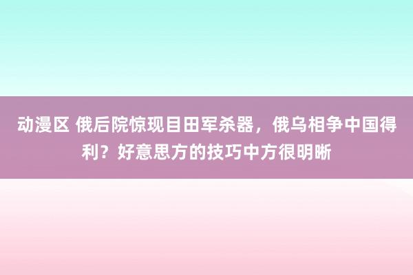 动漫区 俄后院惊现目田军杀器，俄乌相争中国得利？好意思方的技巧中方很明晰