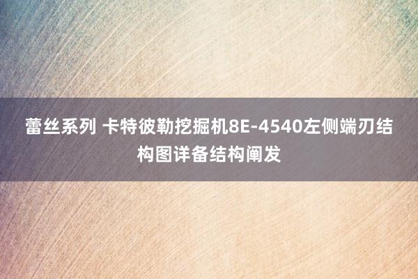 蕾丝系列 卡特彼勒挖掘机8E-4540左侧端刃结构图详备结构阐发