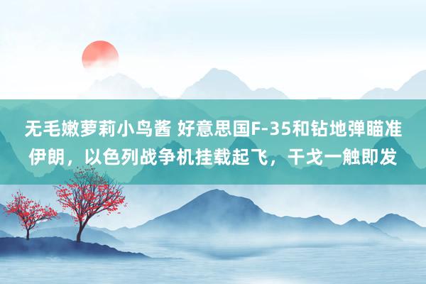 无毛嫩萝莉小鸟酱 好意思国F-35和钻地弹瞄准伊朗，以色列战争机挂载起飞，干戈一触即发