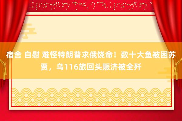 宿舍 自慰 难怪特朗普求俄饶命！数十大鱼被困苏贾，乌116旅回头赈济被全歼