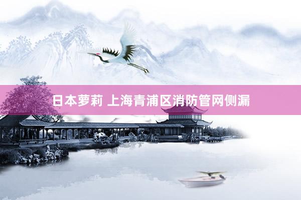 日本萝莉 上海青浦区消防管网侧漏