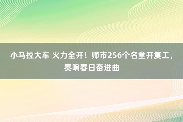 小马拉大车 火力全开！师市256个名堂开复工，奏响春日奋进曲