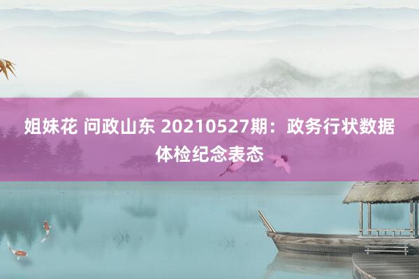 姐妹花 问政山东 20210527期：政务行状数据体检纪念表态