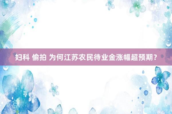 妇科 偷拍 为何江苏农民待业金涨幅超预期？