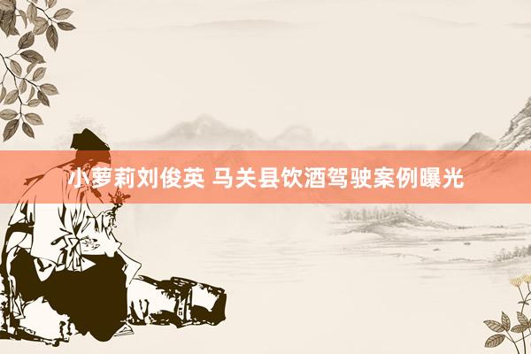 小萝莉刘俊英 马关县饮酒驾驶案例曝光