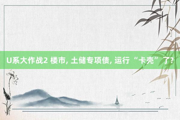 U系大作战2 楼市, 土储专项债, 运行 “卡壳” 了?