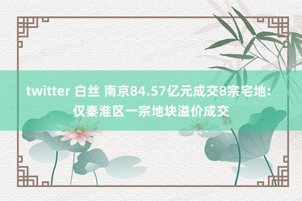 twitter 白丝 南京84.57亿元成交8宗宅地: 仅秦淮区一宗地块溢价成交