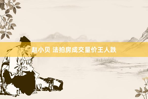 赵小贝 法拍房成交量价王人跌