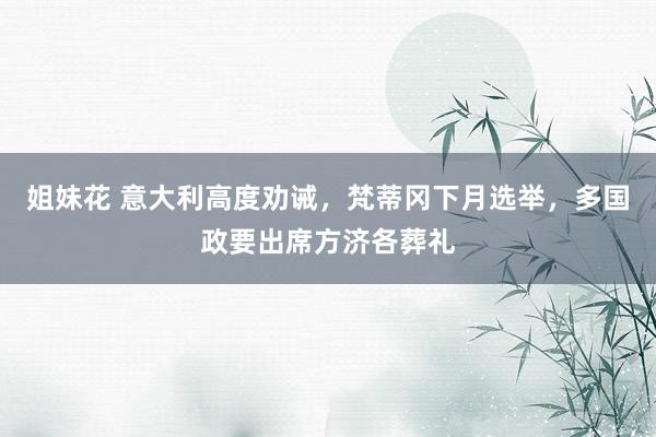 姐妹花 意大利高度劝诫，梵蒂冈下月选举，多国政要出席方济各葬礼