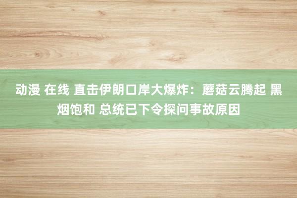 动漫 在线 直击伊朗口岸大爆炸：蘑菇云腾起 黑烟饱和 总统已下令探问事故原因