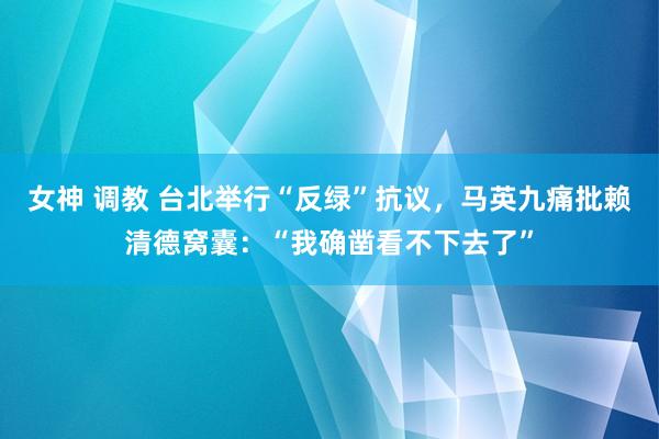 女神 调教 台北举行“反绿”抗议，马英九痛批赖清德窝囊：“我确凿看不下去了”
