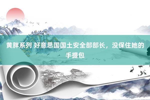 黄胖系列 好意思国国土安全部部长，没保住她的手提包