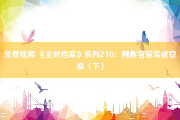 免费视频 《尘封档案》系列210：酬酢官座驾被窃案（下）