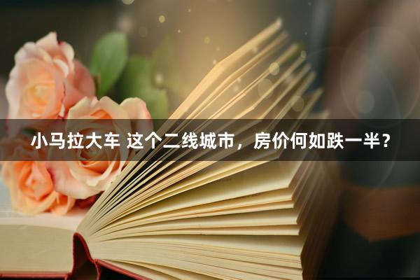 小马拉大车 这个二线城市，房价何如跌一半？