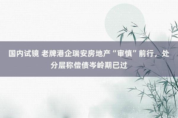 国内试镜 老牌港企瑞安房地产“审慎”前行，处分层称偿债岑岭期已过
