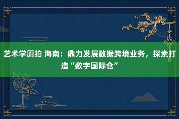艺术学厕拍 海南：鼎力发展数据跨境业务，探索打造“数字国际仓”