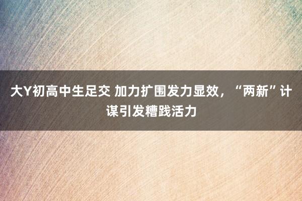 大Y初高中生足交 加力扩围发力显效，“两新”计谋引发糟践活力